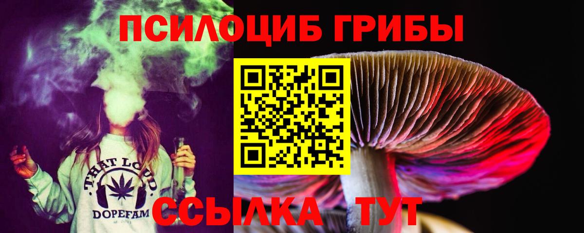 Псилоцибиновые грибы GOLDEN TEACHER Магнитогорск